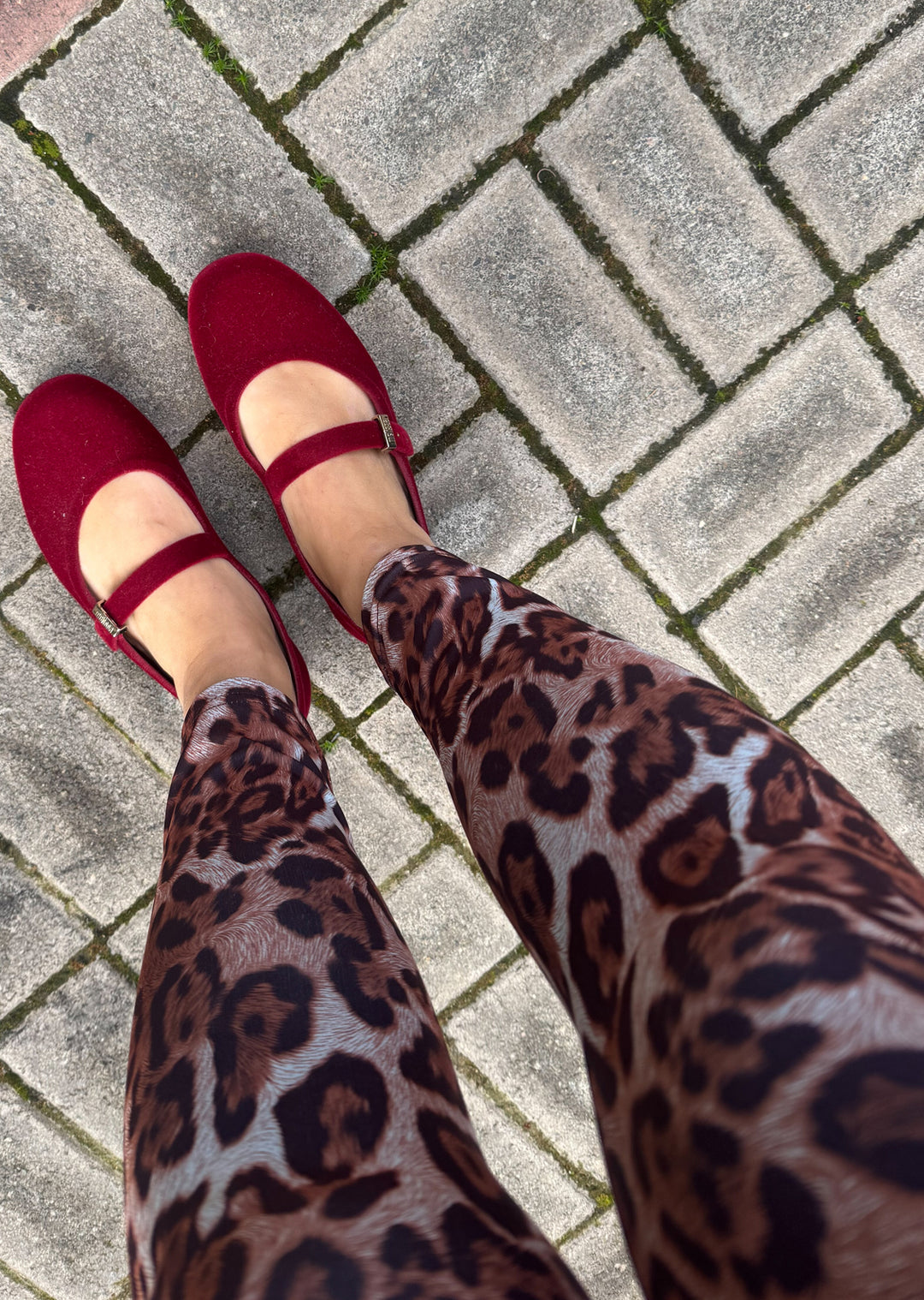 Leggins | Animal Print Café